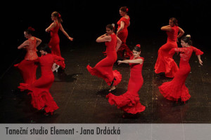 jana drdacka_popis