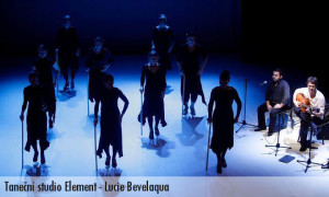 lucie bevelaqua_popis